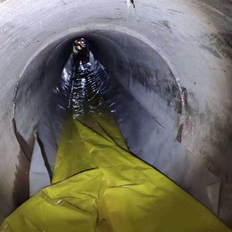 九真镇管道光固化修复